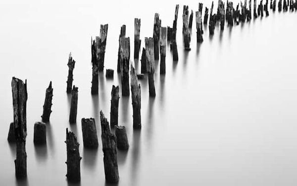 What's the Latest in Eco-Friendly Urban Landscape Design in UK Cities?